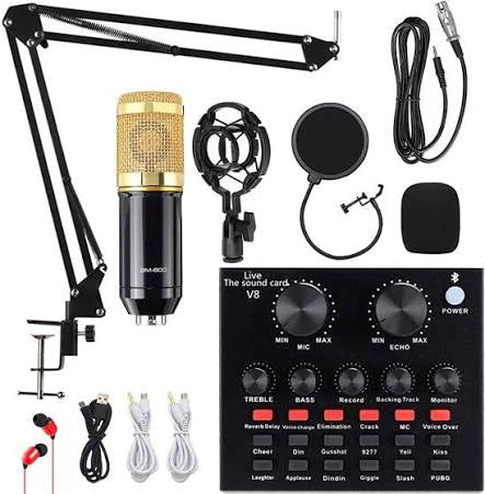 Microphone BM800 V8/X50 Professionnel à Condensateur